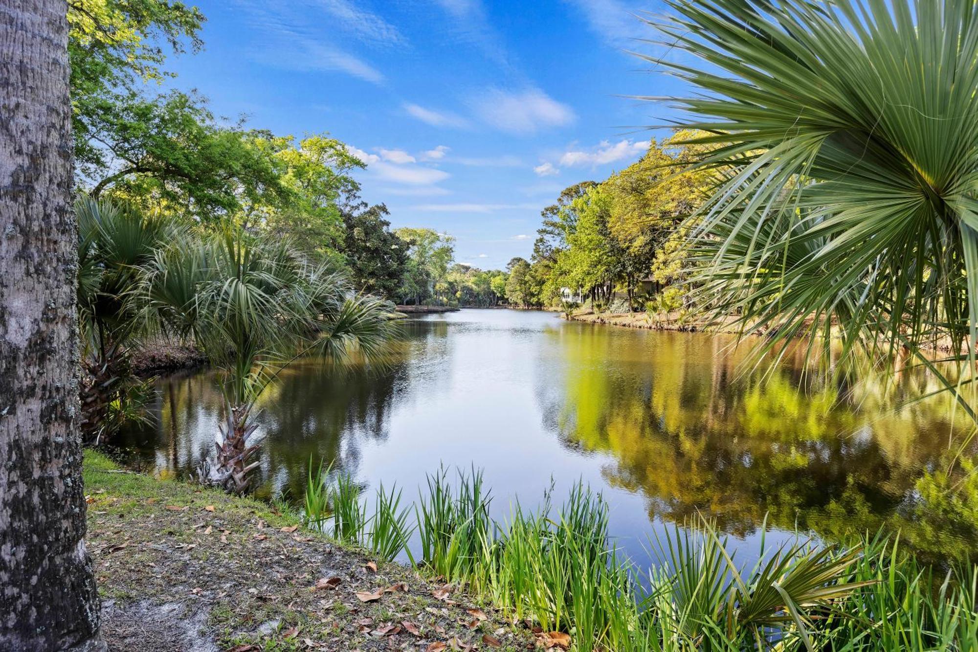 5556 Turtle Cove Vila Kiawah Island Exterior foto